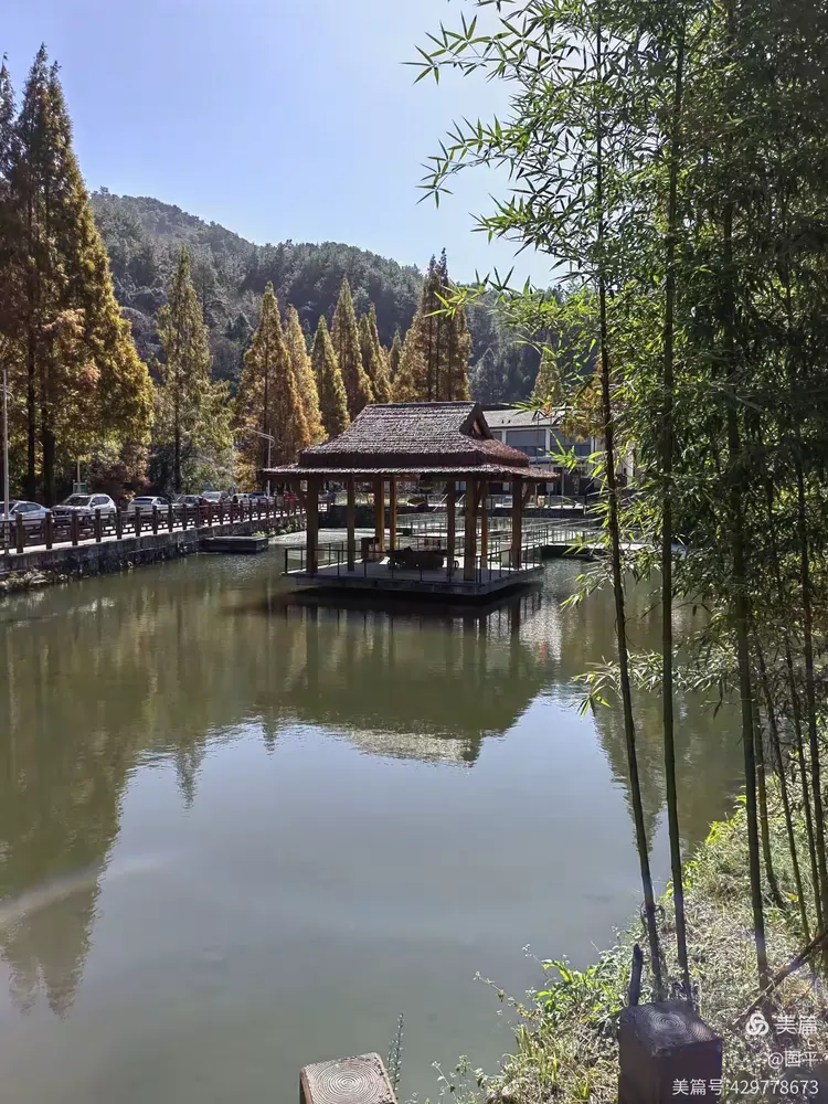 20231118游玩将乐龙栖山常口村龙栖山水杉大道秋色正浓常口村青山绿水